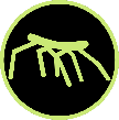 STICKBUG